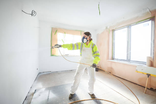 Best Emergency Mold Remediation  in Springfield, TN