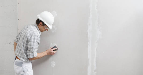 Best Black Mold Removal  in Springfield, TN
