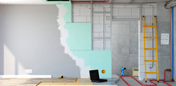 Best Basement Mold Removal  in Springfield, TN
