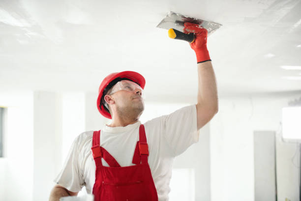 Professional Mold Removal in Springfield, TN