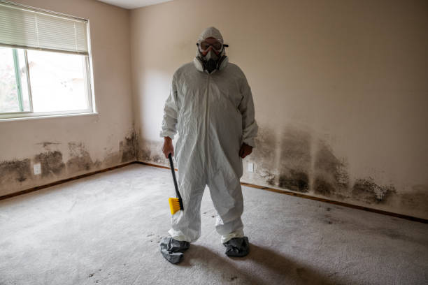 Best Biohazard Mold Removal  in Springfield, TN