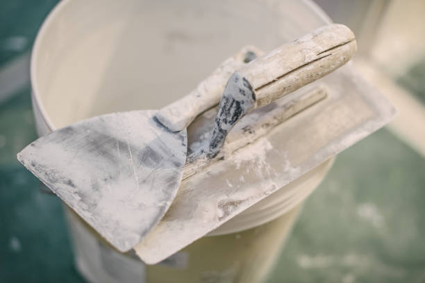  Springfield, TN Mold Removal Pros