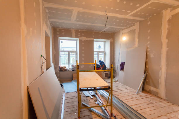 Best Forensic Mold Investigation  in Springfield, TN